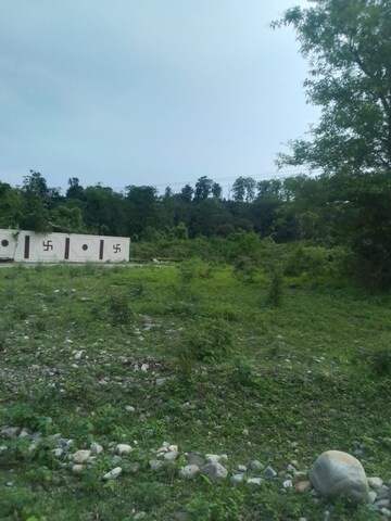Plot Area in  Plot at Raipur Road – for Sale