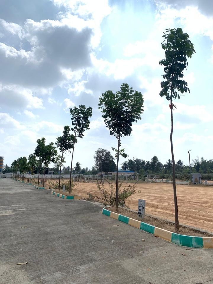 Plot For Resale in Sahakara Nagar Bangalore  7589903