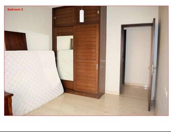 3 BHK Apartment For Rent in V Raheja Pebble Bay Rmv 2nd Stage Bangalore  7590272