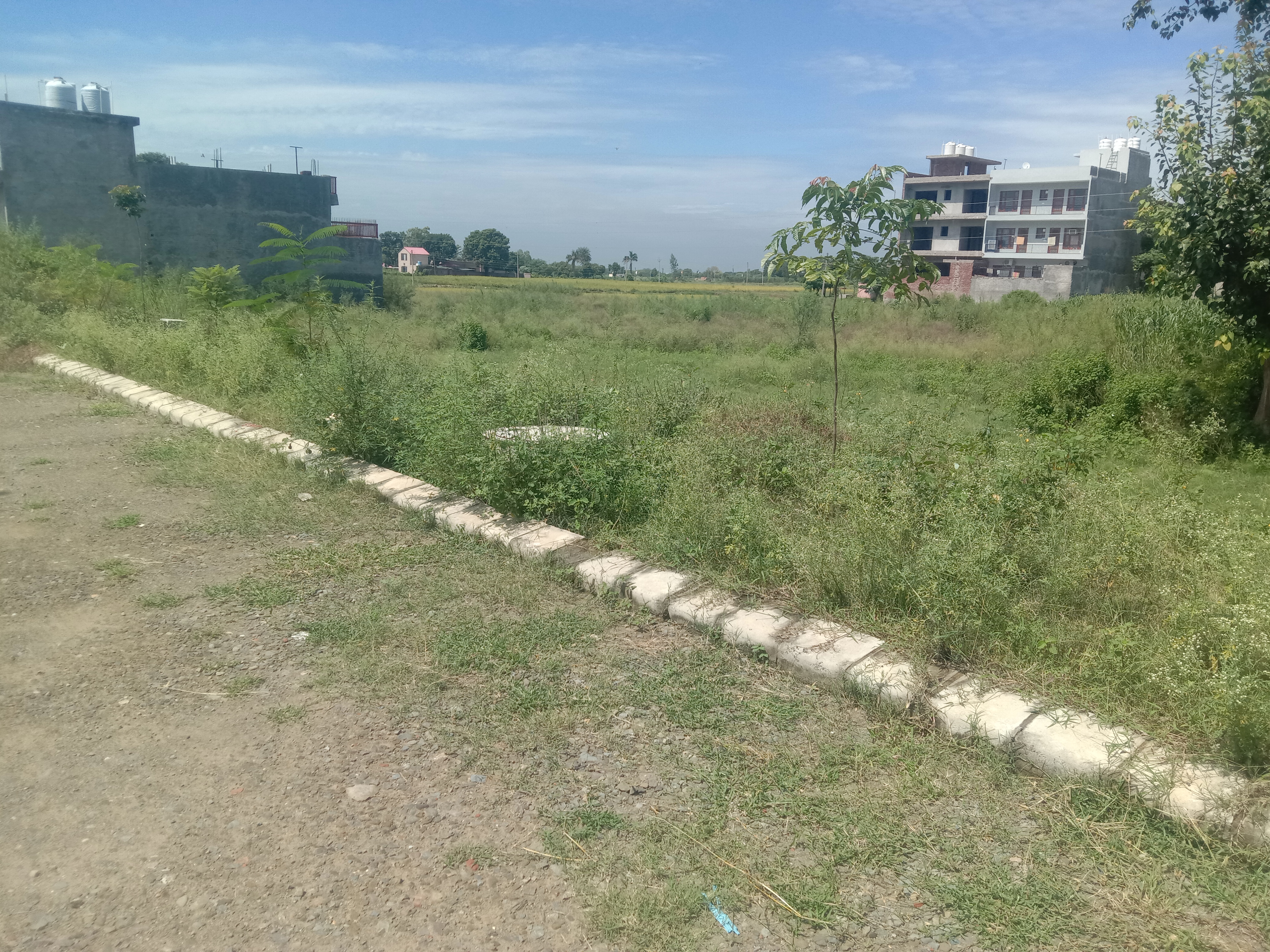 Plot For Resale in Altus Prime North Mullanpur Chandigarh  7590581