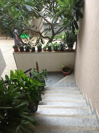 4 BHK Villa For Rent in Kaggadasapura Bangalore  7590751