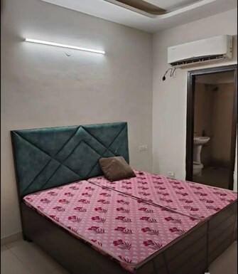 3 BHK Apartment For Rent in Motia Royal Citi Phase 1 Lohgarh Zirakpur  7591062