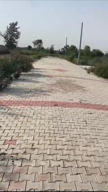  Plot – Exterior View View at Jewar - for Sale