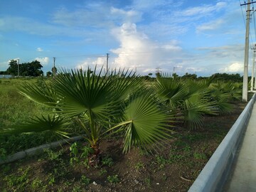  Plot – Garden View at Rudraram - for Sale