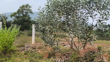 Plot Area in  Plot at Anakapalle – for Sale