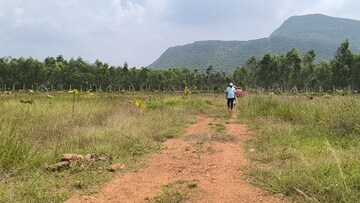 Plot Area in  Plot at Anakapalle – for Sale