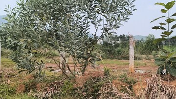 Plot Area in  Plot at Anakapalle – for Sale