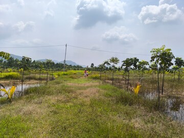 Plot Area in  Plot at Anakapalle – for Sale
