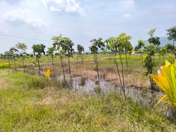 Plot Area in  Plot at Anakapalle – for Sale