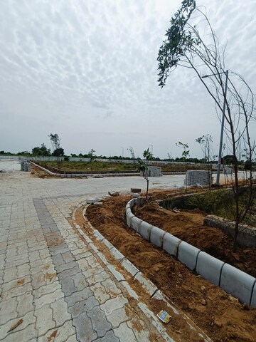 Plot Area in  Plot at Chithara – for Sale