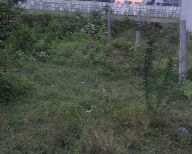 Plot For Sale in Mahal Road