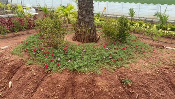 Plot Area in  Plot at Sri Bhumi Eeshaanya, Kankipadu – for Sale