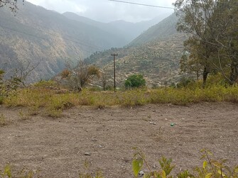 Plot For Resale in Kainchi Dham Nainital  7592983