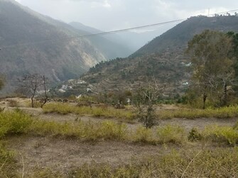 Plot For Resale in Kainchi Dham Nainital  7592983