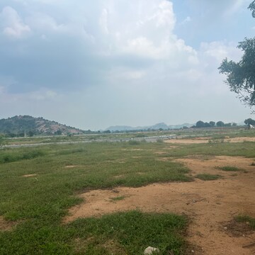 Plot Area in  Plot at Fortune 18, Amangal – for Sale