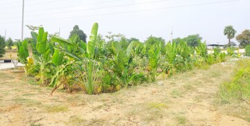  Plot – Garden View at Bibinagar - for Sale