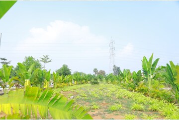  Plot – Exterior View View at Bibinagar - for Sale