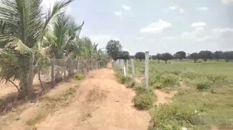 Commercial Land 21 Acre For Resale in Shabad Hyderabad  7593411