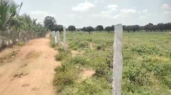 Commercial Land 21 Acre For Resale in Shabad Hyderabad  7593411