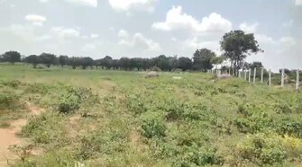 Commercial Land 21 Acre For Resale in Shabad Hyderabad  7593411