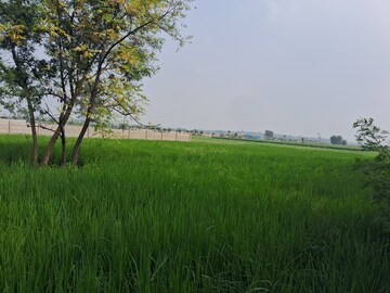 Plot Area in  Plot at Sector 82 – for Sale