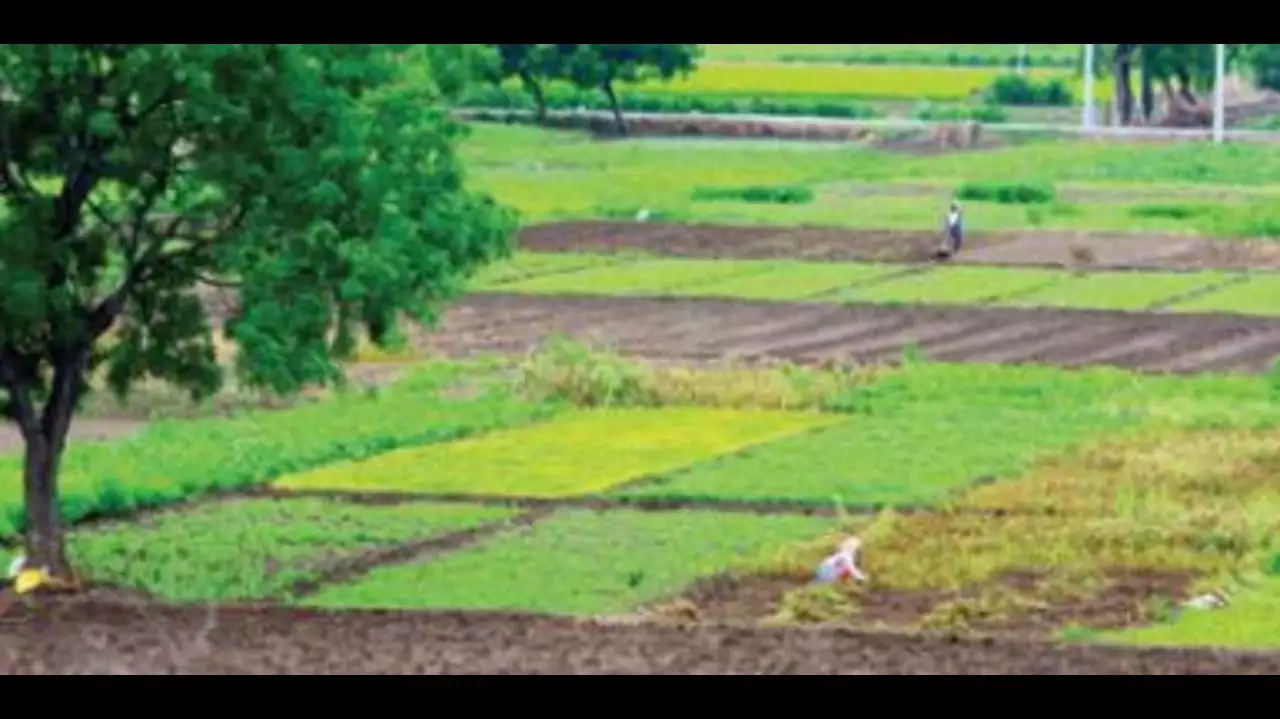 Plot For Sale in Jim Corbett National Park