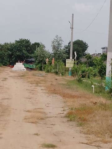 Plot Area in  Plot at Tappal – for Sale