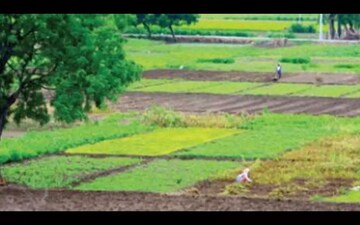 Plot For Sale in Kashipur Road