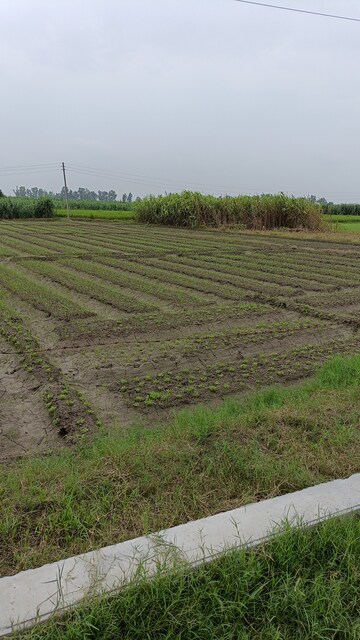  Land – Garden View at Barana - for Sale