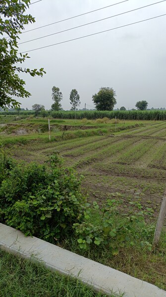 Commercial Land 12 Sq.Mt. For Resale in Barana Panipat  7593947