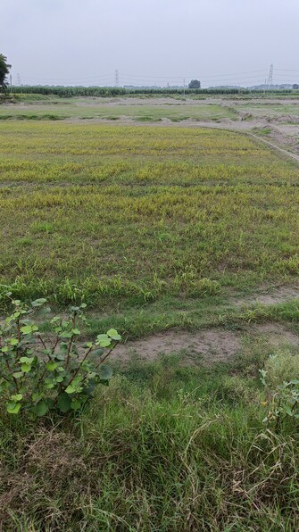 Commercial Land 12 Sq.Mt. For Resale in Barana Panipat  7593947