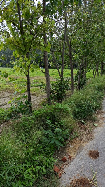  Land – Garden View at Barana - for Sale