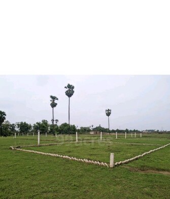 Plot For Resale in Realize Green Empire Danapur Patna  7592342