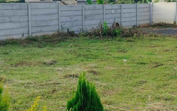 Plot For Sale in Bannerghatta Road