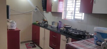 3 BHK Apartment For Rent in Punjagutta Hyderabad  7594863