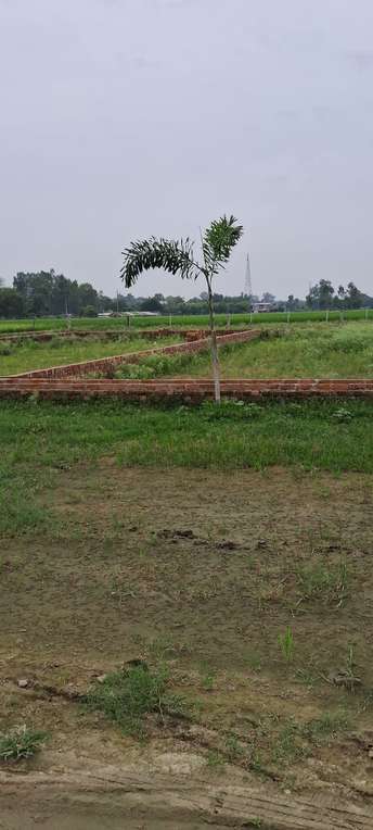 Plot For Resale in Wazirganj Lucknow  7595175