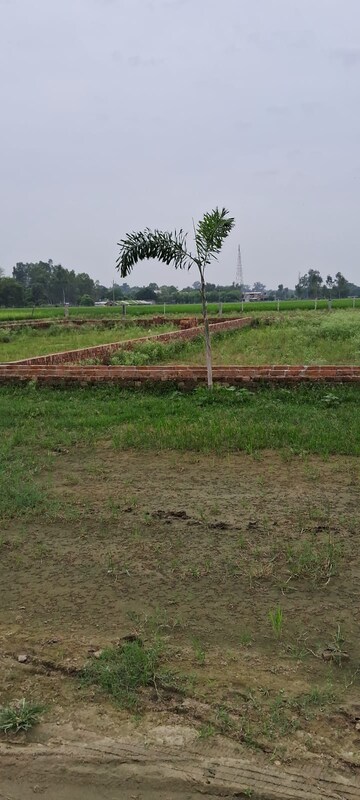  Plot For Sale in Wazirganj