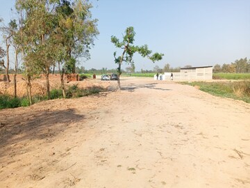Plot Area in  Plot at Wazirganj – for Sale