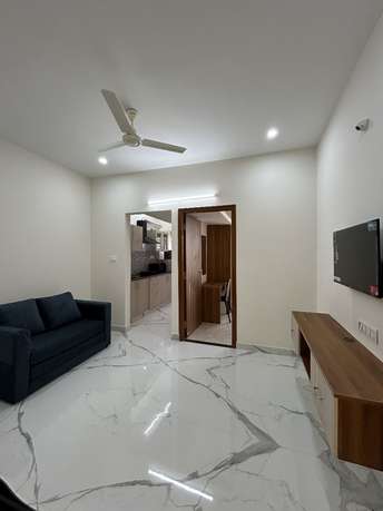 1 BHK Apartment For Rent in Kaikondrahalli Bangalore  7595377