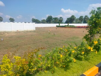 Plot For Resale in Tirukkalukkunram Chennai  7595817