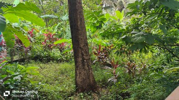 2 BHK Villa – Garden View at Vasai West - for Rent
