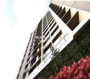 2 BHK Apartment For Rent in Richa Bougainvillea Kalina Mumbai  7596205