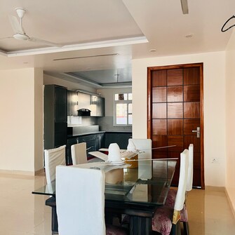 3 BHK Builder Floor For Rent in Sector M-1 Gurgaon  7596446