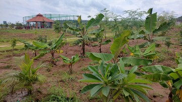  Plot – Garden View at Kamkole - for Sale