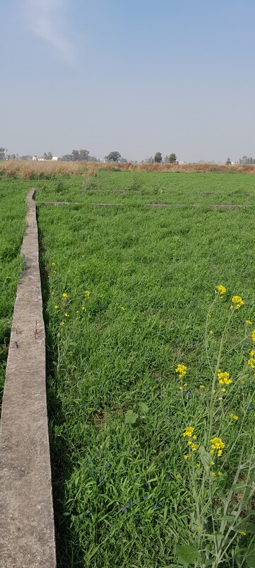  Plot For Sale in Anisabad
