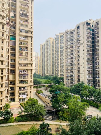 3 BHK Apartment For Rent in Aims Golf Avenue II Sector 75 Noida  7596627