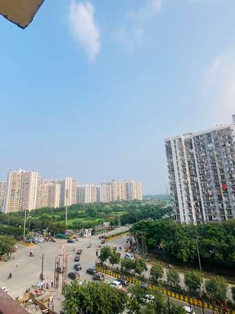 3 BHK Apartment For Rent in Aims Golf Avenue II Sector 75 Noida  7596639