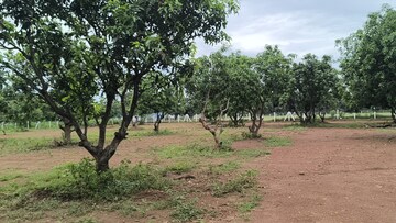 Plot Area in  Plot at Sabbavaram – for Sale