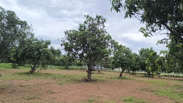 Plot Area in  Plot at Sabbavaram – for Sale