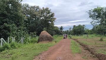 Plot Area in  Plot at Sabbavaram – for Sale